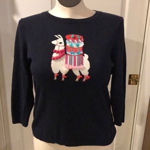 Talbots Sweater